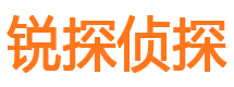 长丰侦探公司